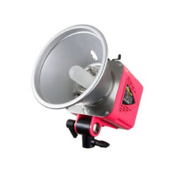 Paul C. Buff Alien Bees Flash Unit 400 Pink Monolight