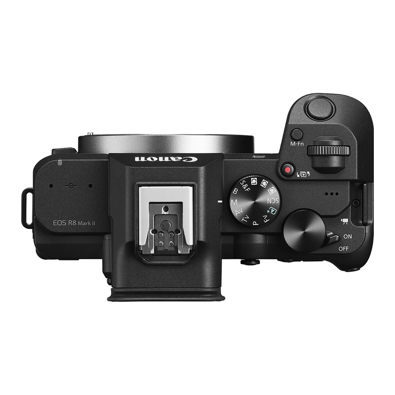 Canon EOS R8 Mark II Mirrorless Camera - Image 4