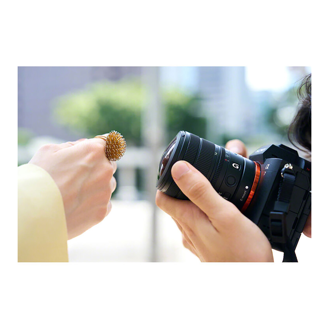 Sony FE 8-14mm f/3.5 Fisheye G Lens (Sony E) - Image 22
