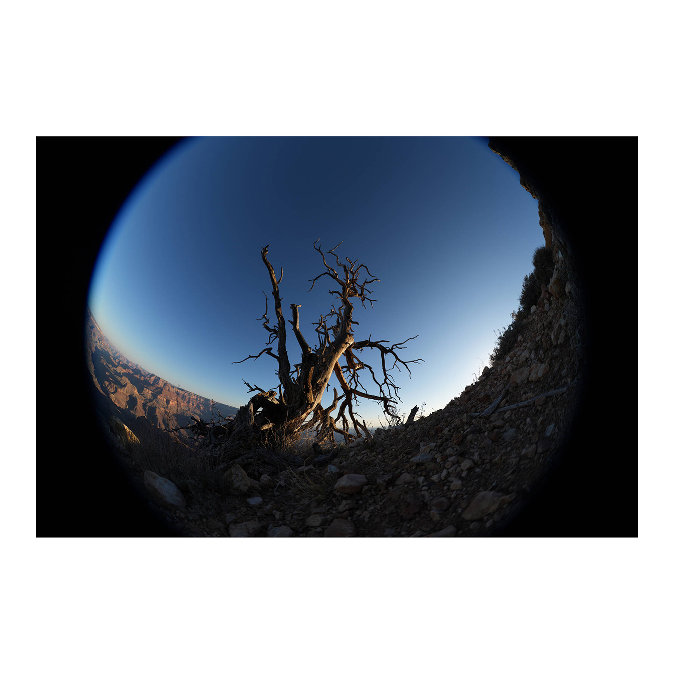 Sony FE 8-14mm f/3.5 Fisheye G Lens (Sony E) - Image 32