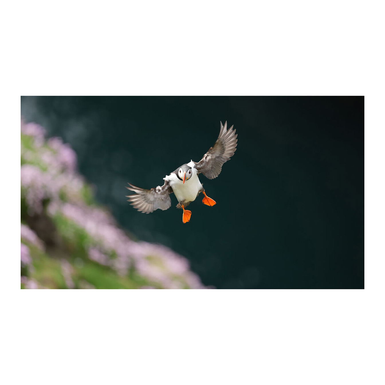 Sony FE 400mm f/4.5 GM OSS Lens (Sony E) - Image 34