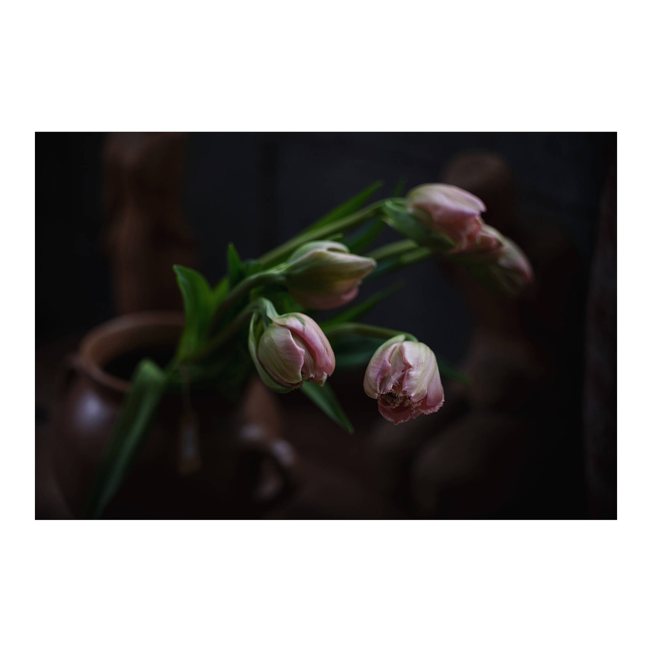 Sigma 20-60mm f/2.8-4 DG Contemporary Lens (Sony E) - Image 7