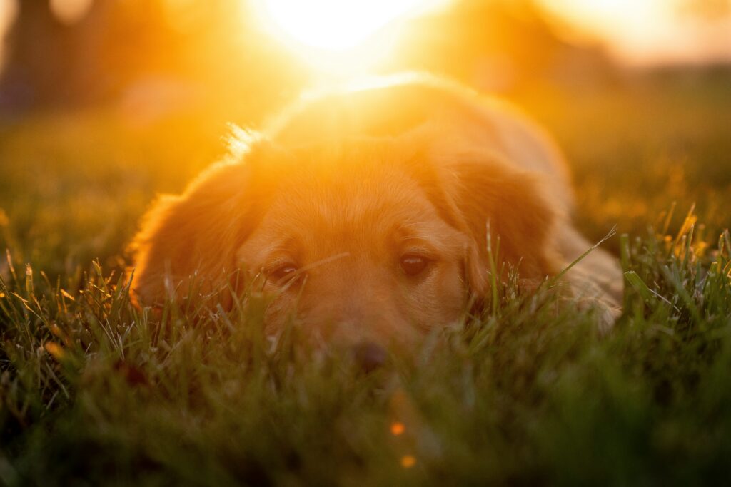 tim umphreys zKXS2rUxw E unsplash