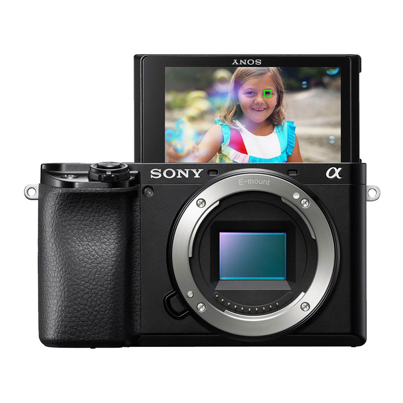 Sony a6100 Mirrorless Camera