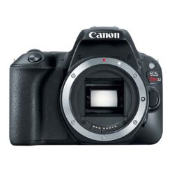Canon EOS Rebel SL2 DSLR Camera (Black, Body Only)