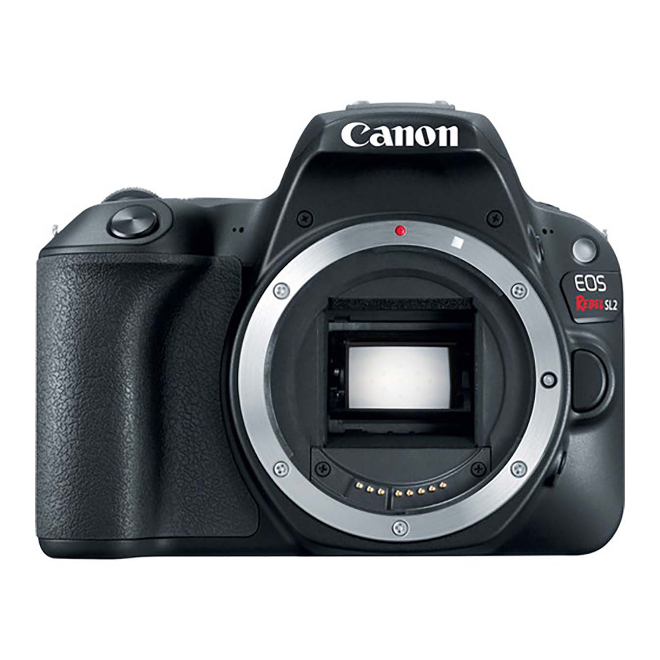 Canon EOS Rebel SL2 DSLR Camera (Black, Body Only)